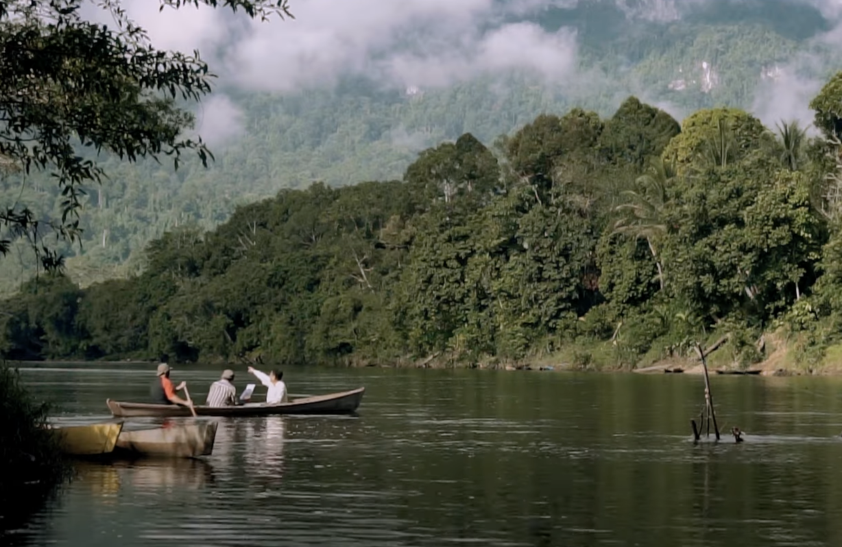Hutan Rimba